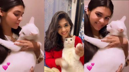 Pranali Rathod pays Emotional Tribute to Beloved Pet Cat Mia