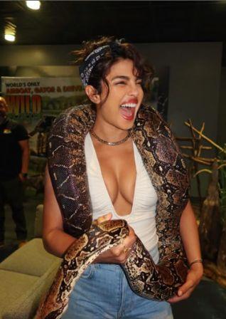 Priyanka Chopra Poses with Pythons