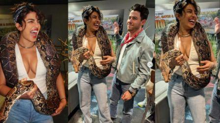 Priyanka Chopra Poses with Pythons