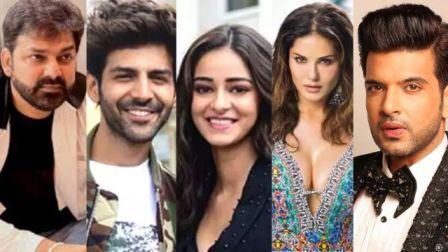 Pawan Singh Ananya Kartik Sunny Leone Karan Kundra Guest in Bigg Boss 19 Finale